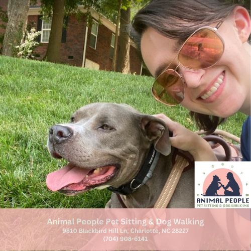 professional pet sitter in charlotte nc