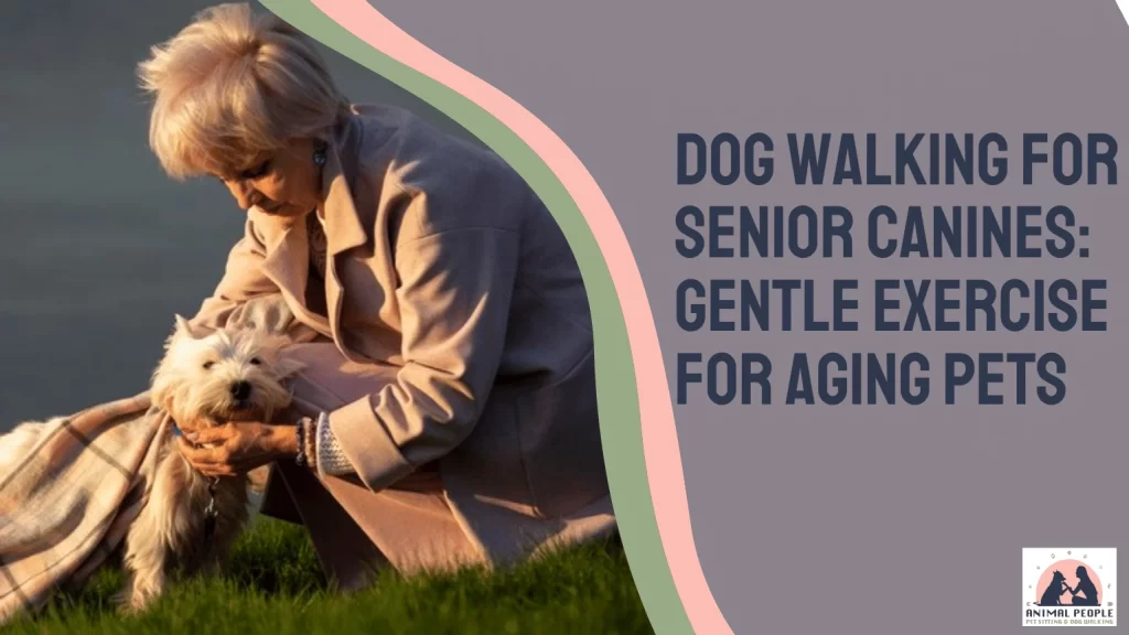 Dog Walking for Senior Canines: Gentle Exercise for Aging Pets