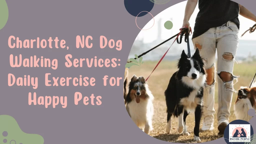 Charlotte, NC Dog Walking Services: Daily Exercise for Happy Pets