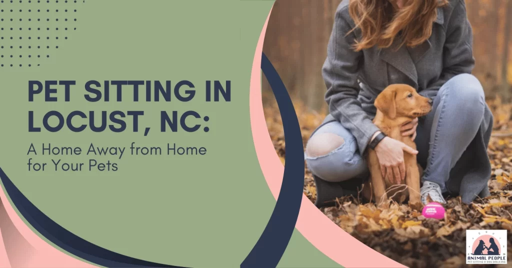 Pet Sitting in Locust, NC A Home Away from Home for Your Pets