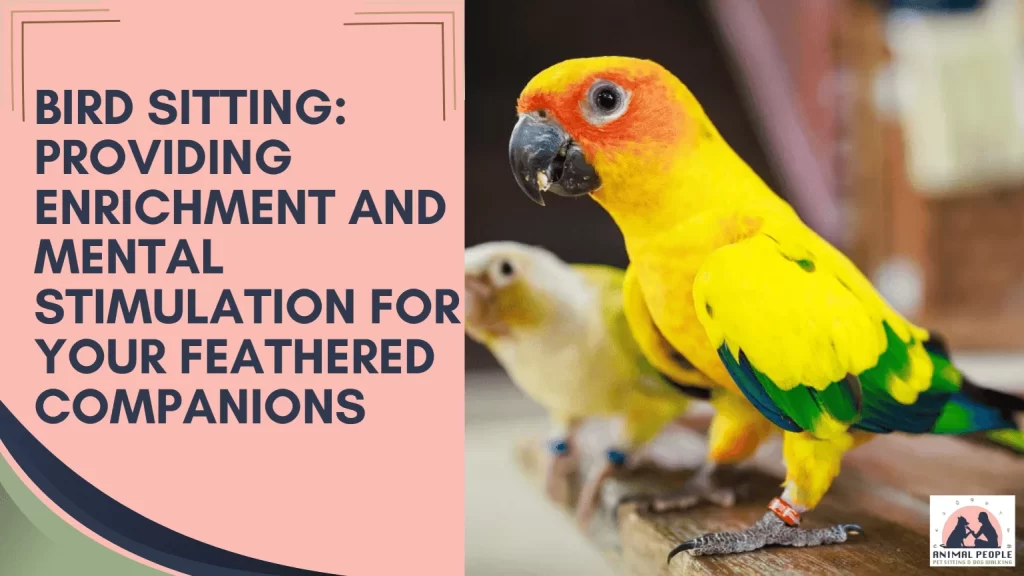 Bird Sitting Providing Enrichment and Mental Stimulation for Your Feathered Companions