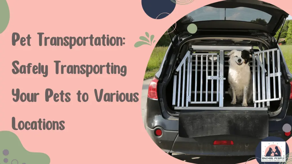 Pet Transportation Safely Transporting Your Pets to Various Locations