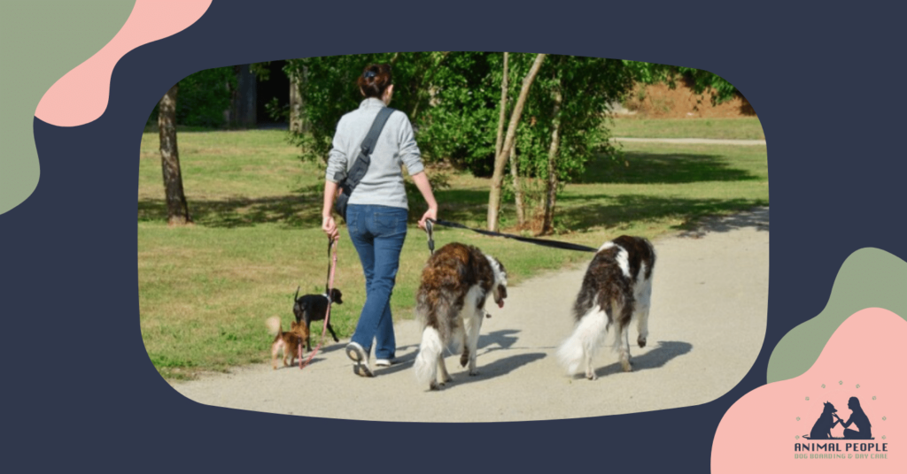 Local Dog Walking Services Find Trusted Providers Near Me