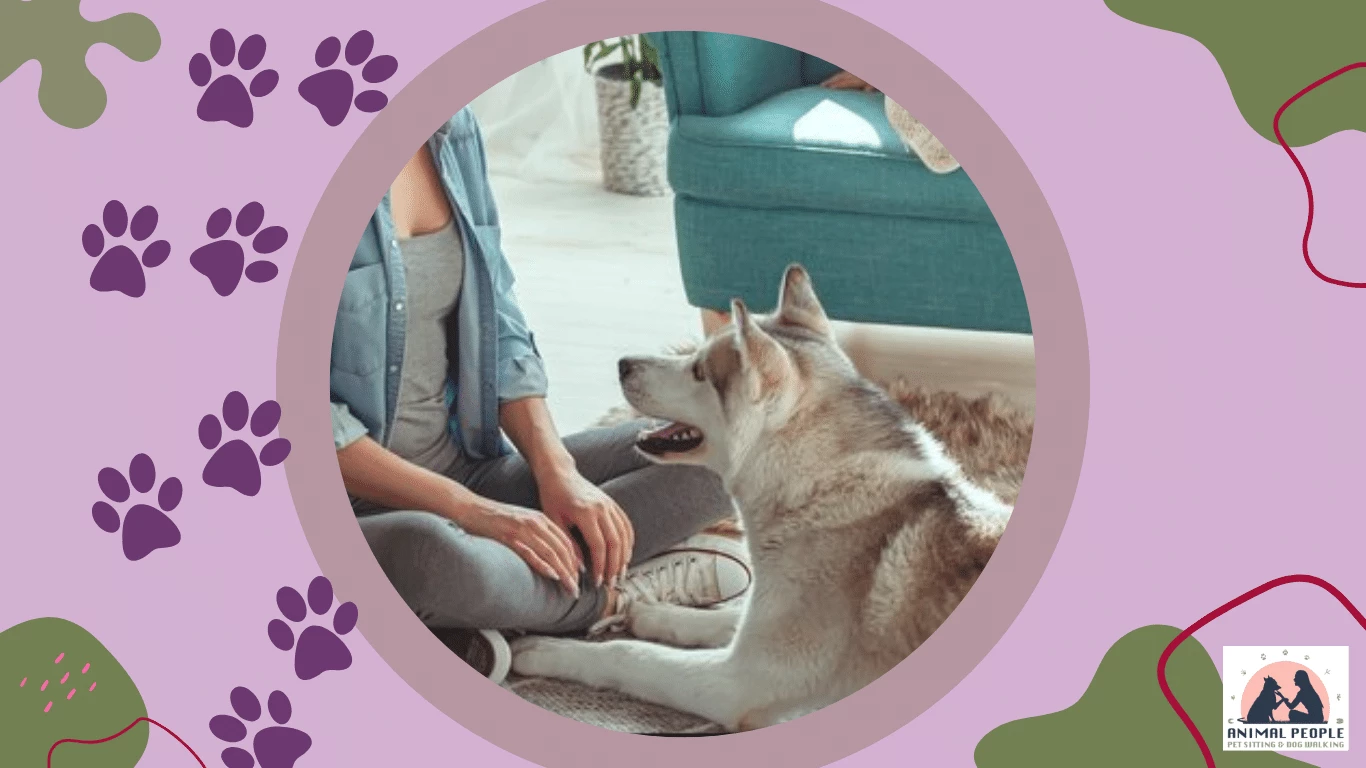 Pet Sitting in Matthews, NC Reliable Care for Your Furry Friends