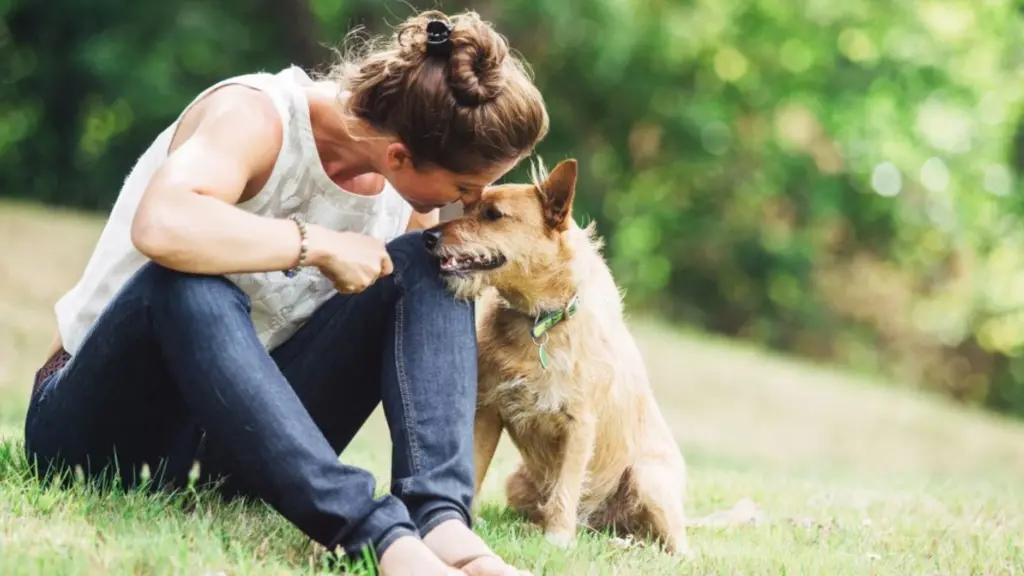 Why Hire a Pet Sitter Benefits of Hiring for Your Furry Friend (and You!)